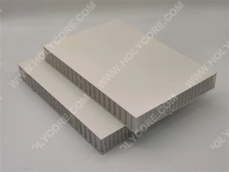 Customized FRP PP Honeycomb Panel for Van Bodies